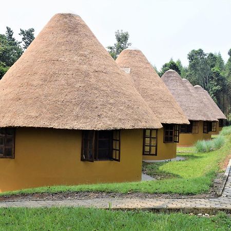 Kibale Guest Cottages Fort Portal Εξωτερικό φωτογραφία